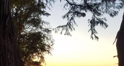 Lake House Scales and Ducktails Rentals