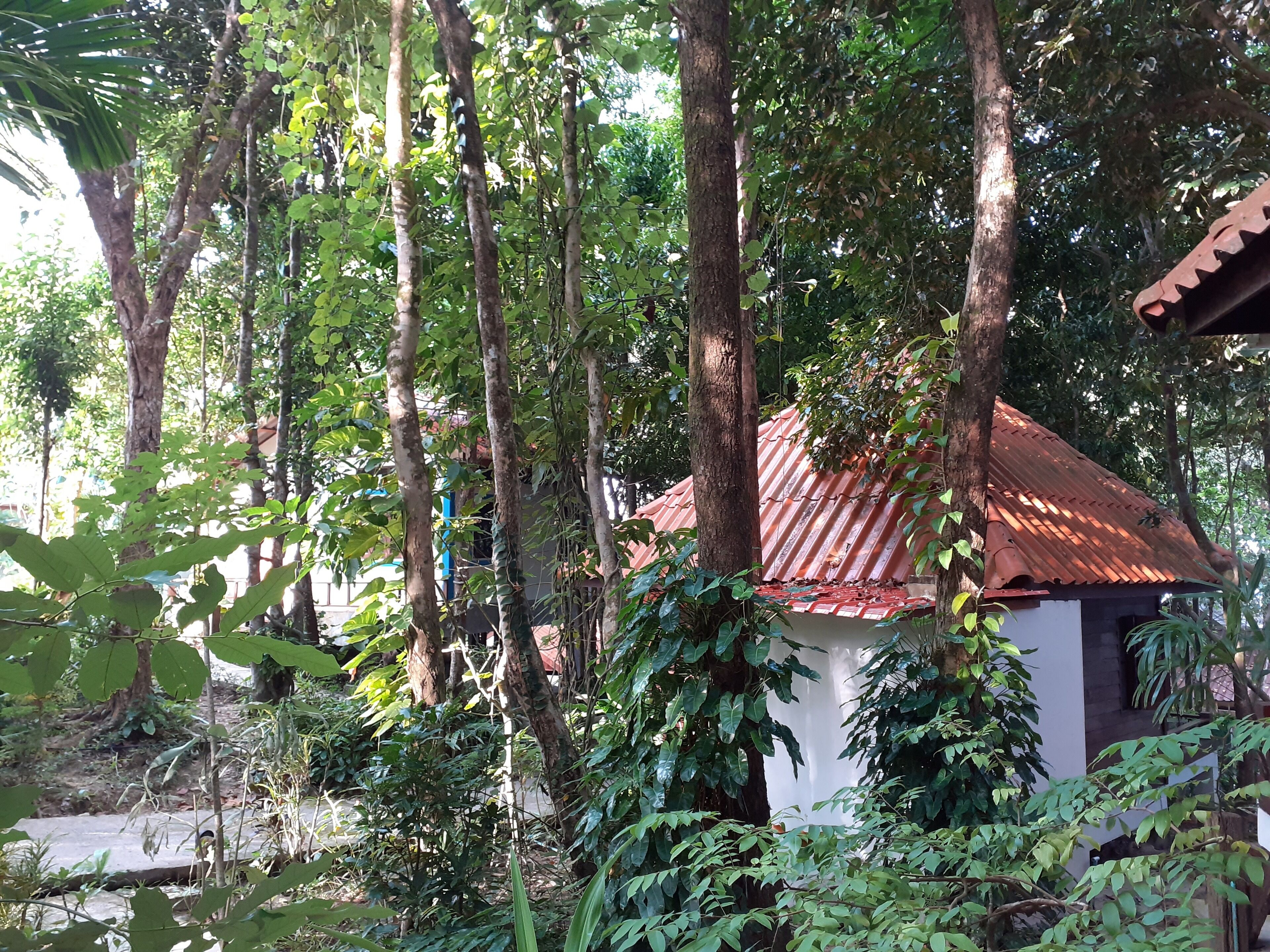Un petit bâtiment coiffé d’un toit rouge, entouré d’une végétation luxuriante et de grands arbres.