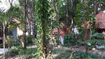 A garden area with trees, plants, and a building with a red roof.