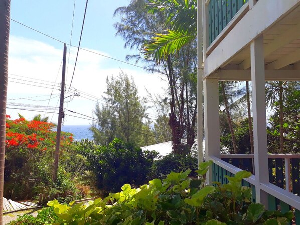 Property grounds - NEWLY REFURBISHED 2 bedroom apt 2 mins from Atlantic Ocean, East Coast, Barbados (Cattlewash)