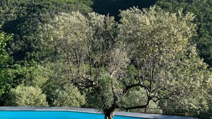 A swimming pool with a stone border, surrounded by lush greenery and trees. - Stunning Medieval Mountain Retreat With Pool (Castelbianco)