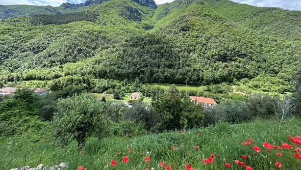A mountainous landscape with lush greenery and a few houses in the valley. - Apartment Sleeps 3 With Garden Terrace (Castelbianco)