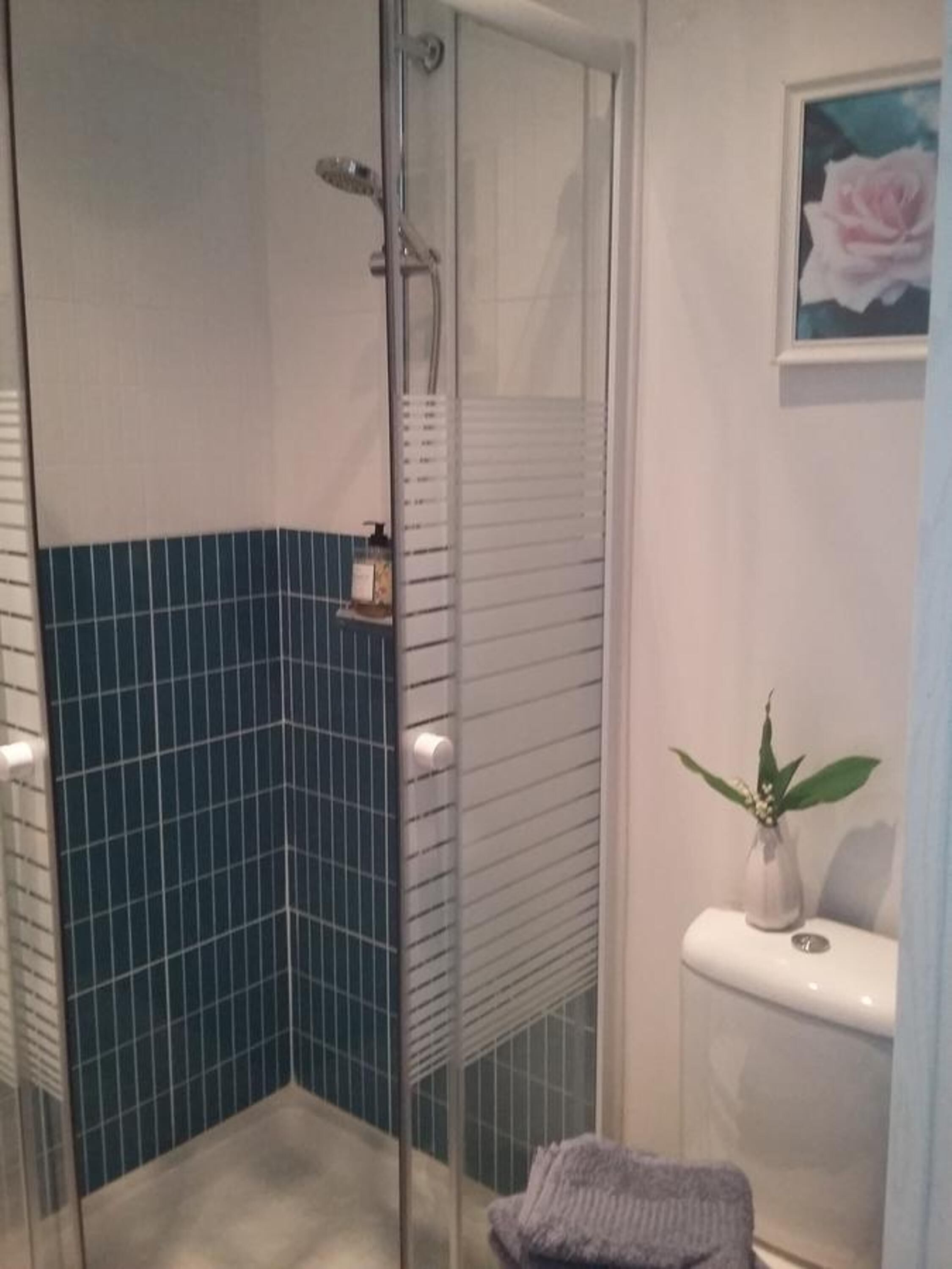 A bathroom with a glass shower enclosure, a toilet with a small plant, and a framed picture on the wall.