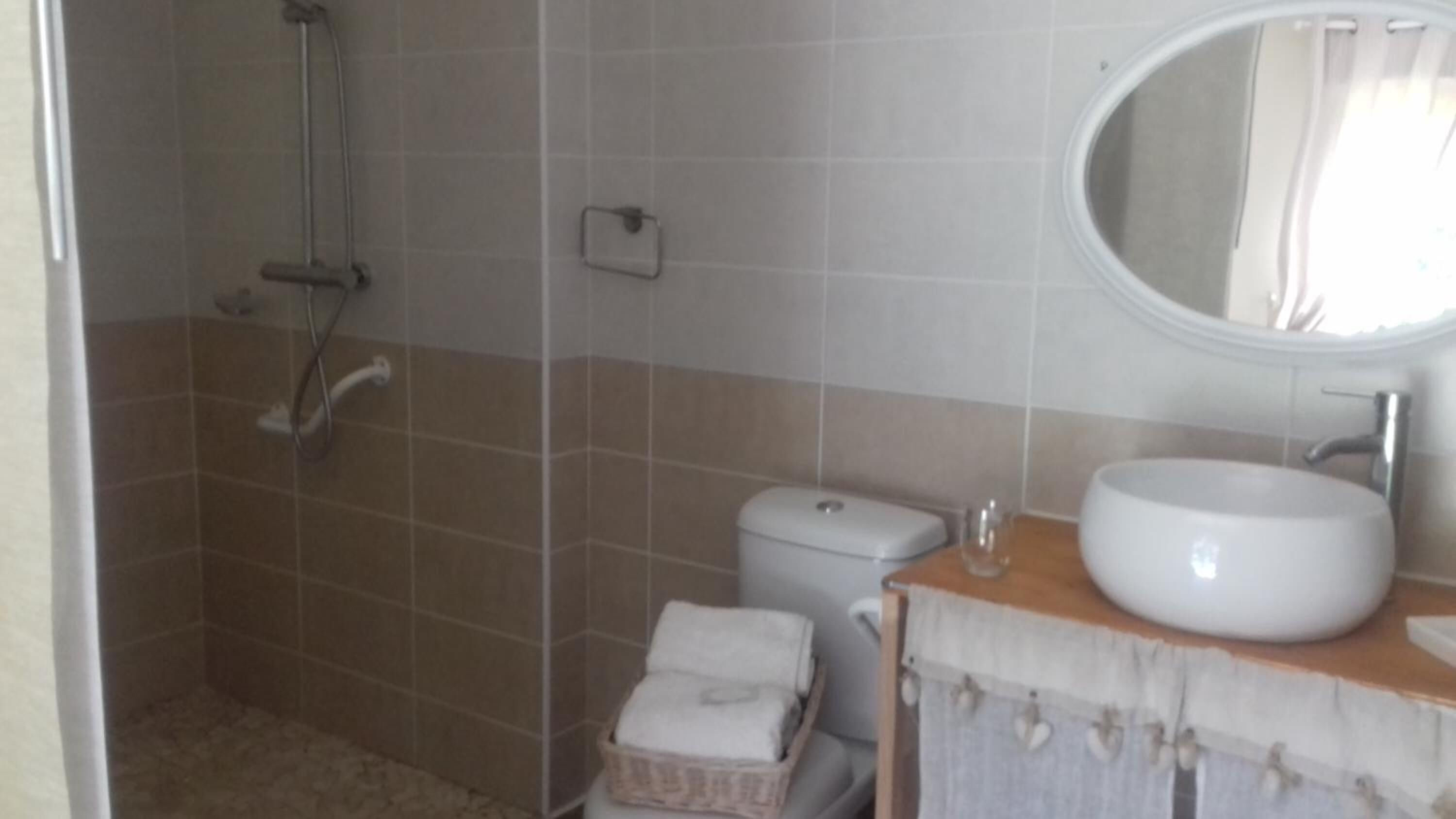Une salle de bain avec douche, toilettes et lavabo.