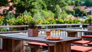 An outdoor seating area with wooden tables and red cushioned benches, a potted plant, and a beverage on a coaster. - Hotel Villa Bodeblick (Wernigerode)