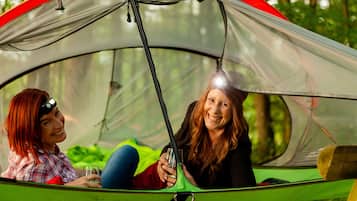 Duas pessoas dentro de uma tenda com teto transparente, cercadas por vegetação.