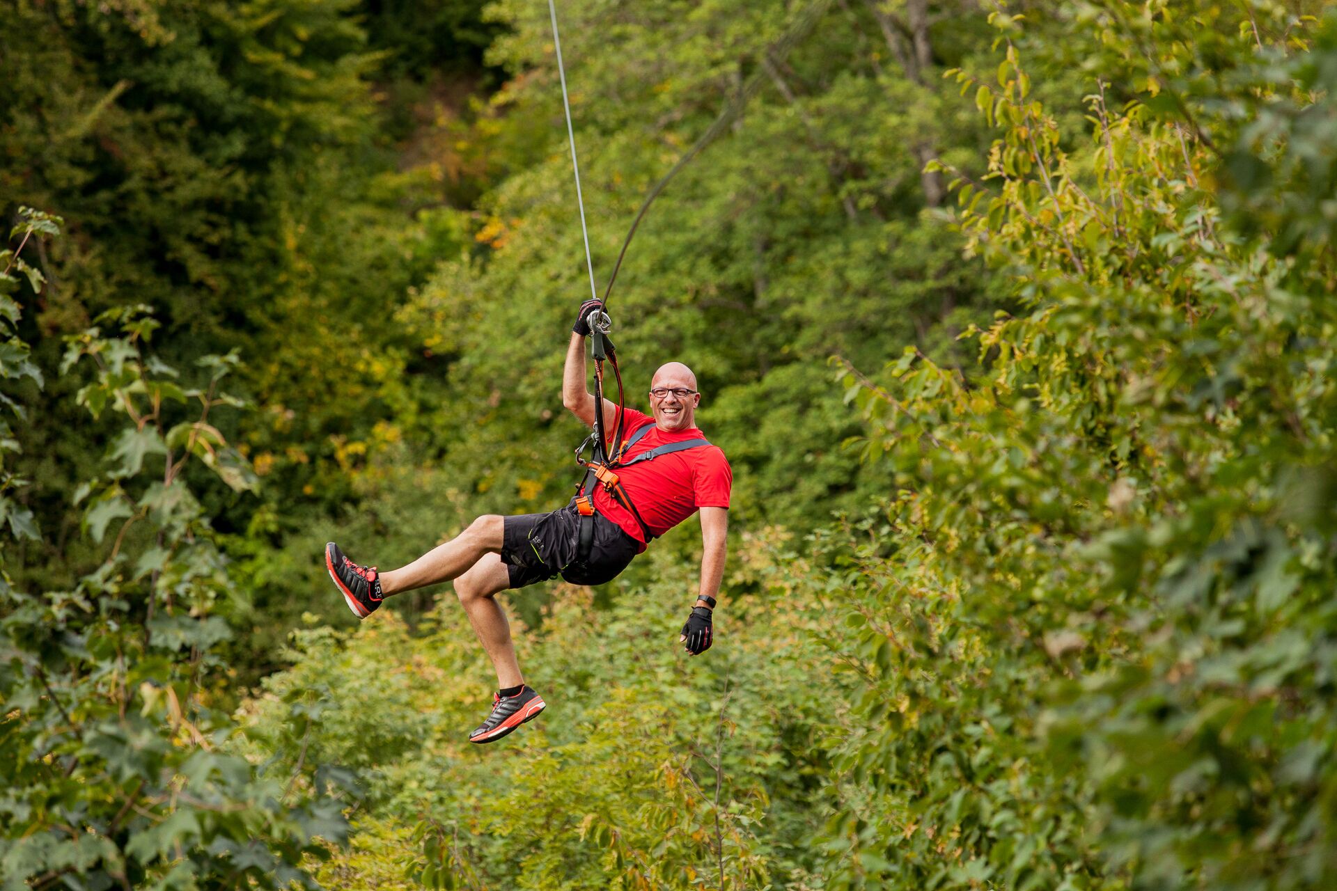 A person engaged in an outdoor activity, suspended by a harness and ropes, surrounded by dense greenery.