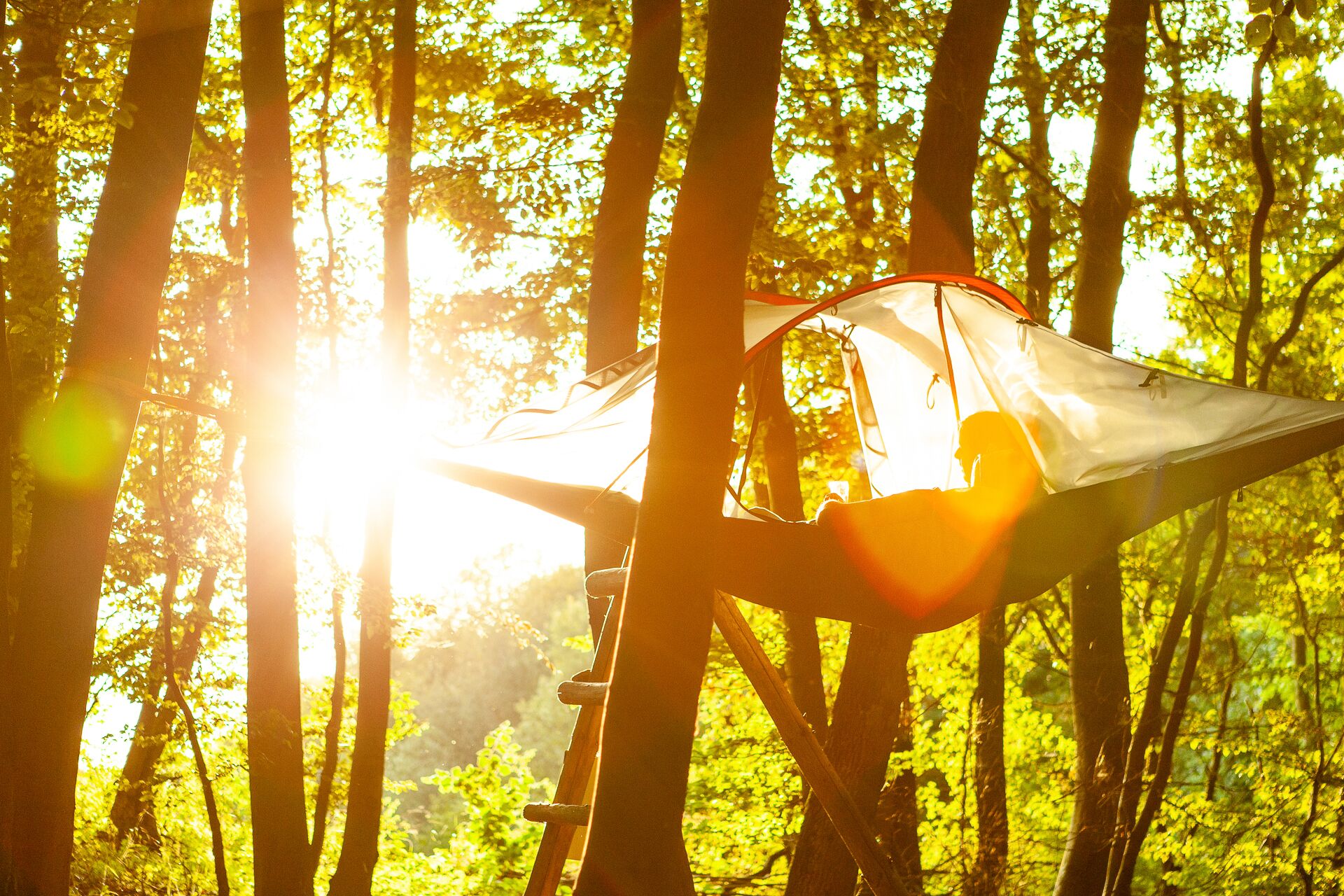 A tent set up in a forest with sunlight filtering through the trees.