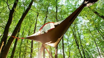 Una hamaca colgada entre árboles en un bosque.