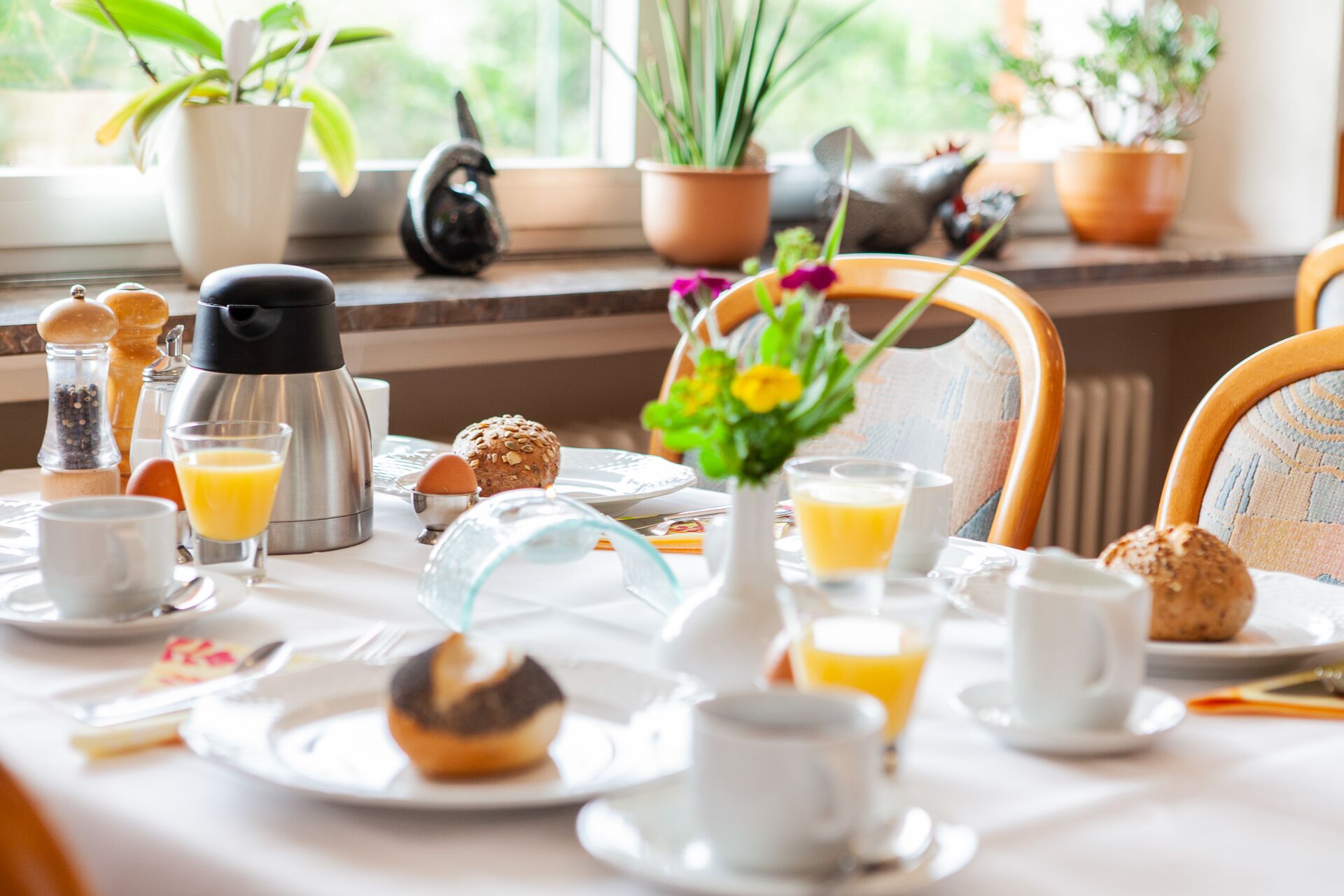 Daily buffet breakfast (EUR 12 per person)