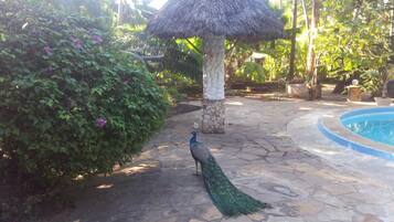 Jardines del alojamiento