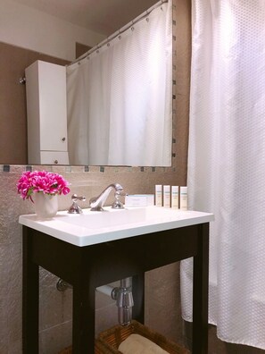 Shower, hair dryer, bidet, towels