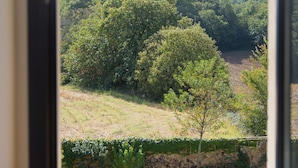 Vista desde una ventana: un jardín con seto, un árbol y un césped.