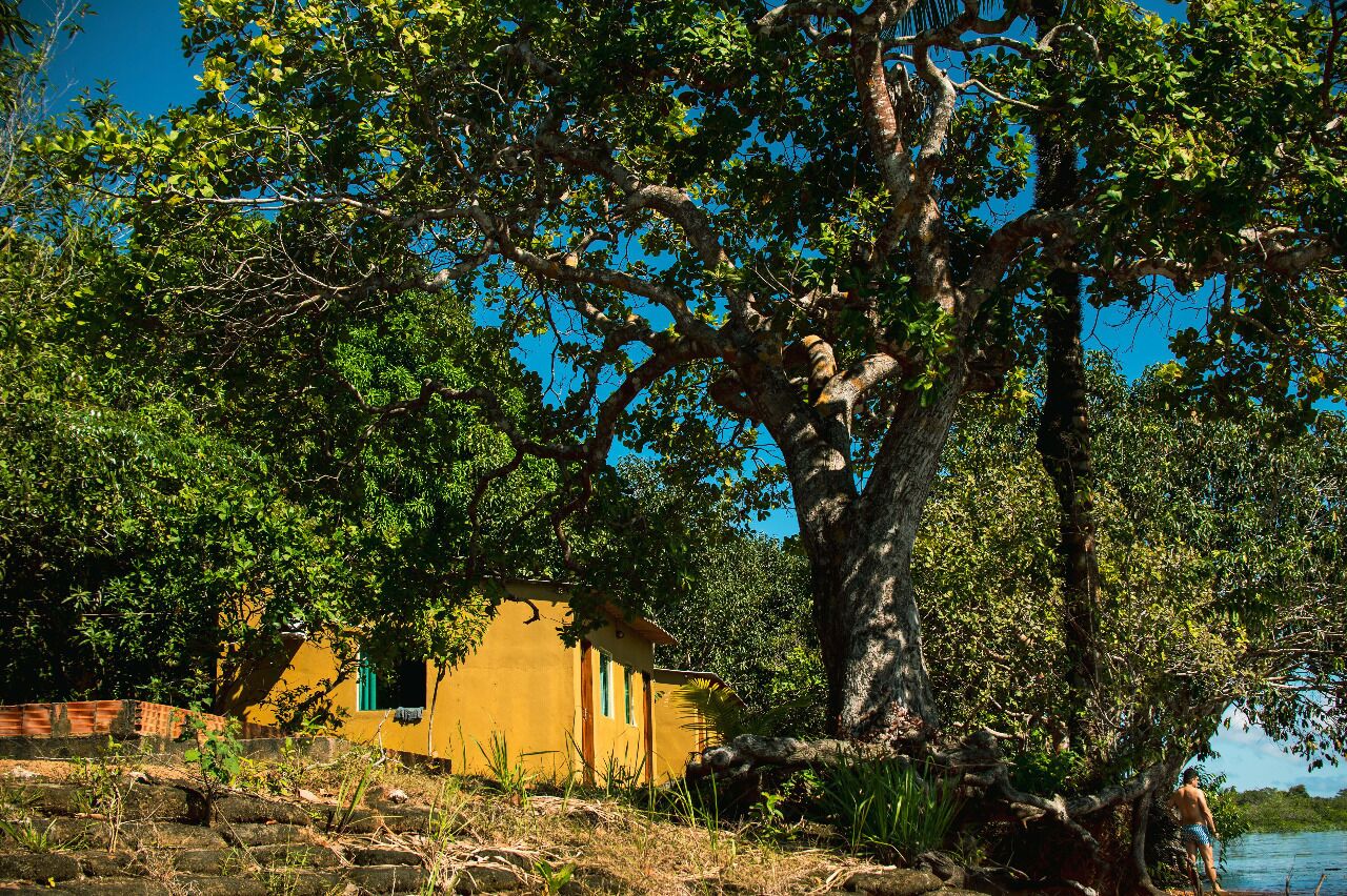 A yellow building with a large tree in front, a river in the background, and a person standing near the tree.