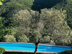 Pool - Apartment Sleeps 4 with Garden Terrace (castelbianco)