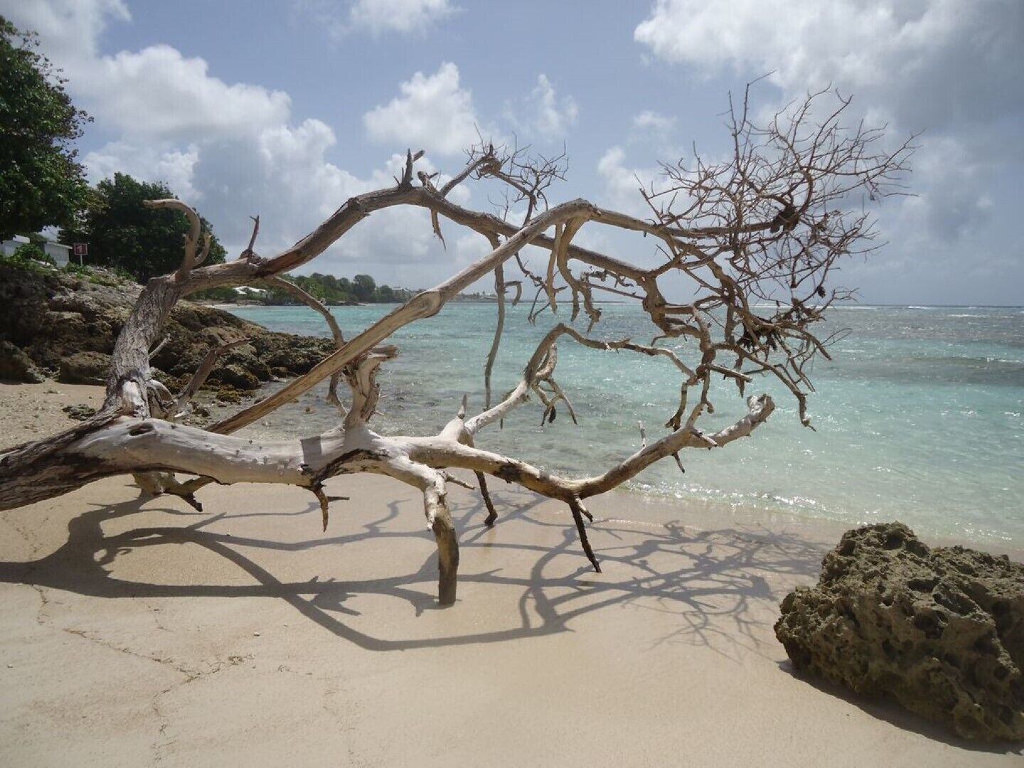 Plage, chaises longues, serviettes de plage
