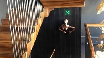 A modern staircase with wooden steps and glass railings, leading to a dark interior space.