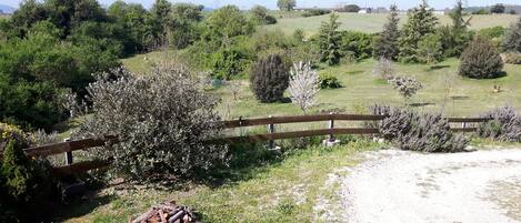 Áreas de la propiedad