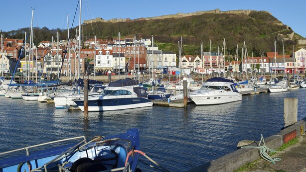 Un port de plaisance où sont amarrés différents types de bateaux, entouré de bâtiments et avec une colline en arrière-plan.