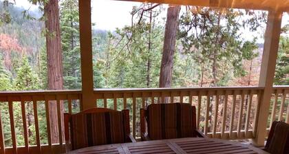 Cabin in the Pines - B