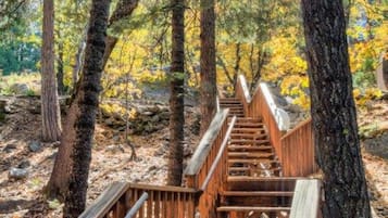 House, 1 Bedroom | Property grounds