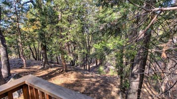 House, 1 Bedroom | Balcony