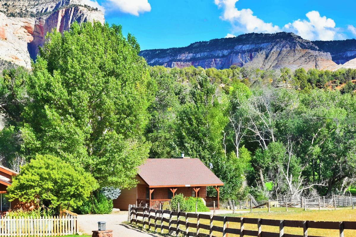 Kabin Premium (Cottonwood Cabin) | Seprai premium, Wi-Fi gratis, dan didekorasi berbeda-beda