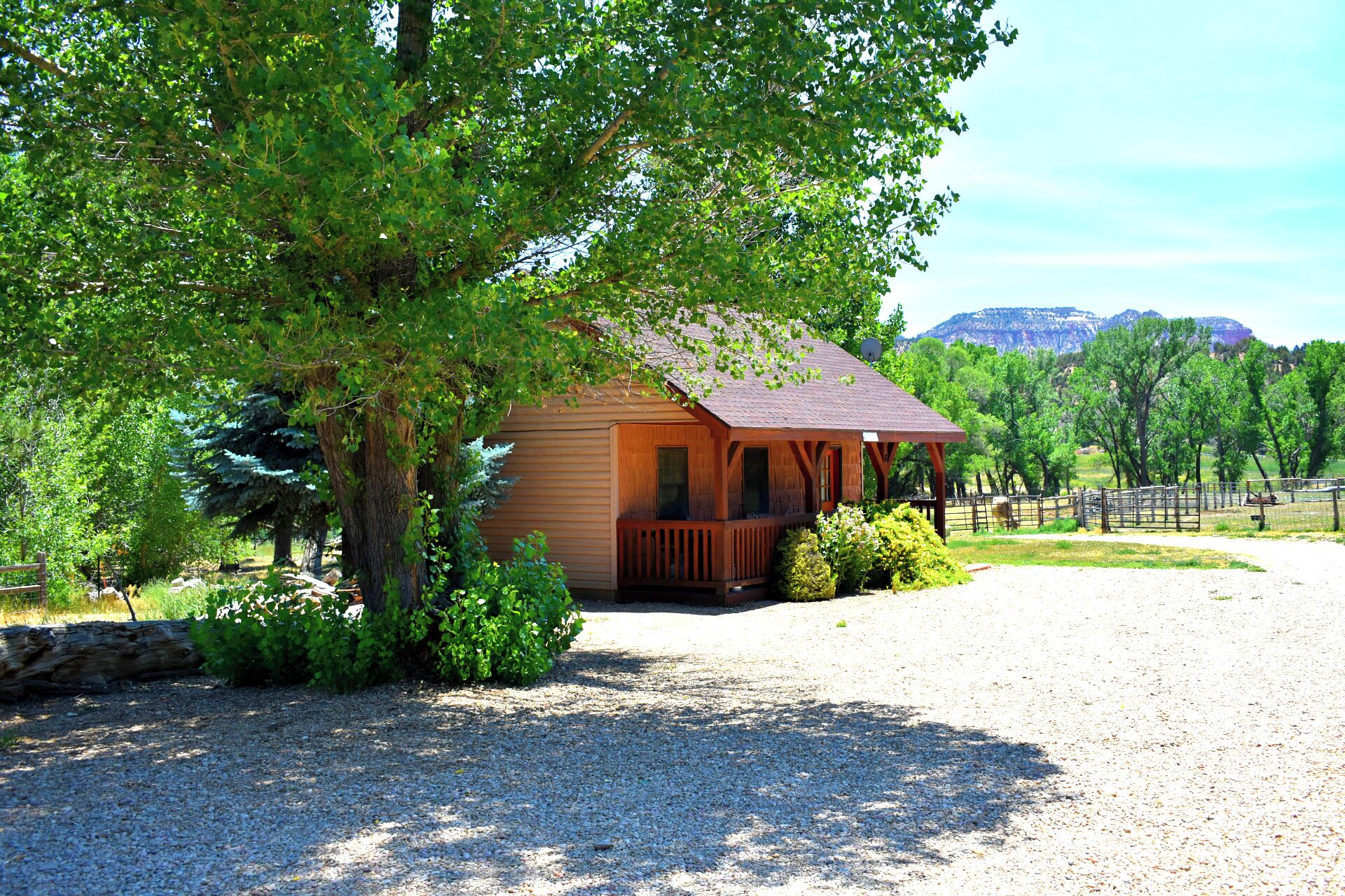 A wooden cabin with a porch, surrounded by trees and a gravel driveway.