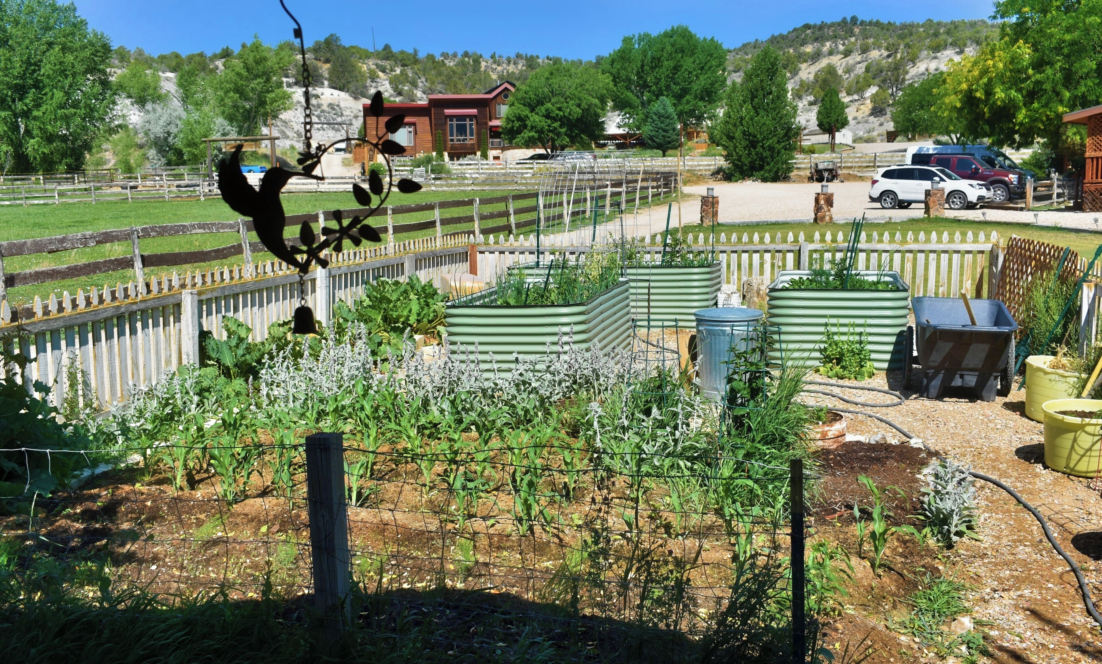 Jardí tancat amb diferents plantes i una construcció de fusta al fons.