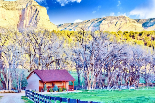 Kabin Premium (Cottonwood Cabin) | Halaman properti