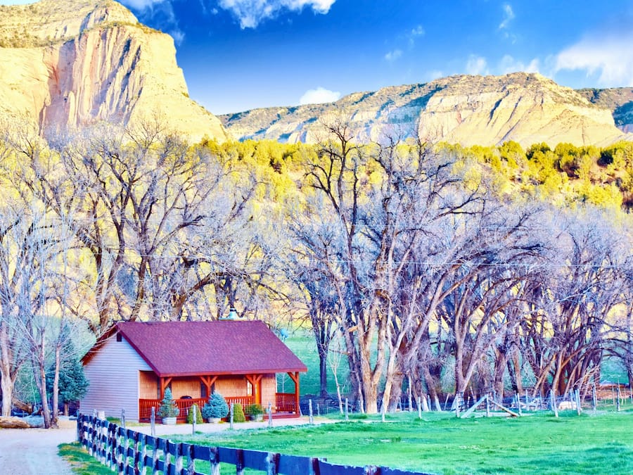 Premium-Ferienhütte (Cottonwood Cabin) | Unterkunftsgelände