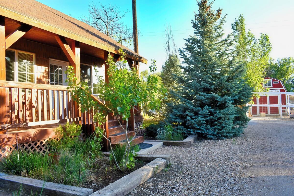 Kabin Tradisional (Willow Cabin) | Seprai premium, Wi-Fi gratis, dan didekorasi berbeda-beda