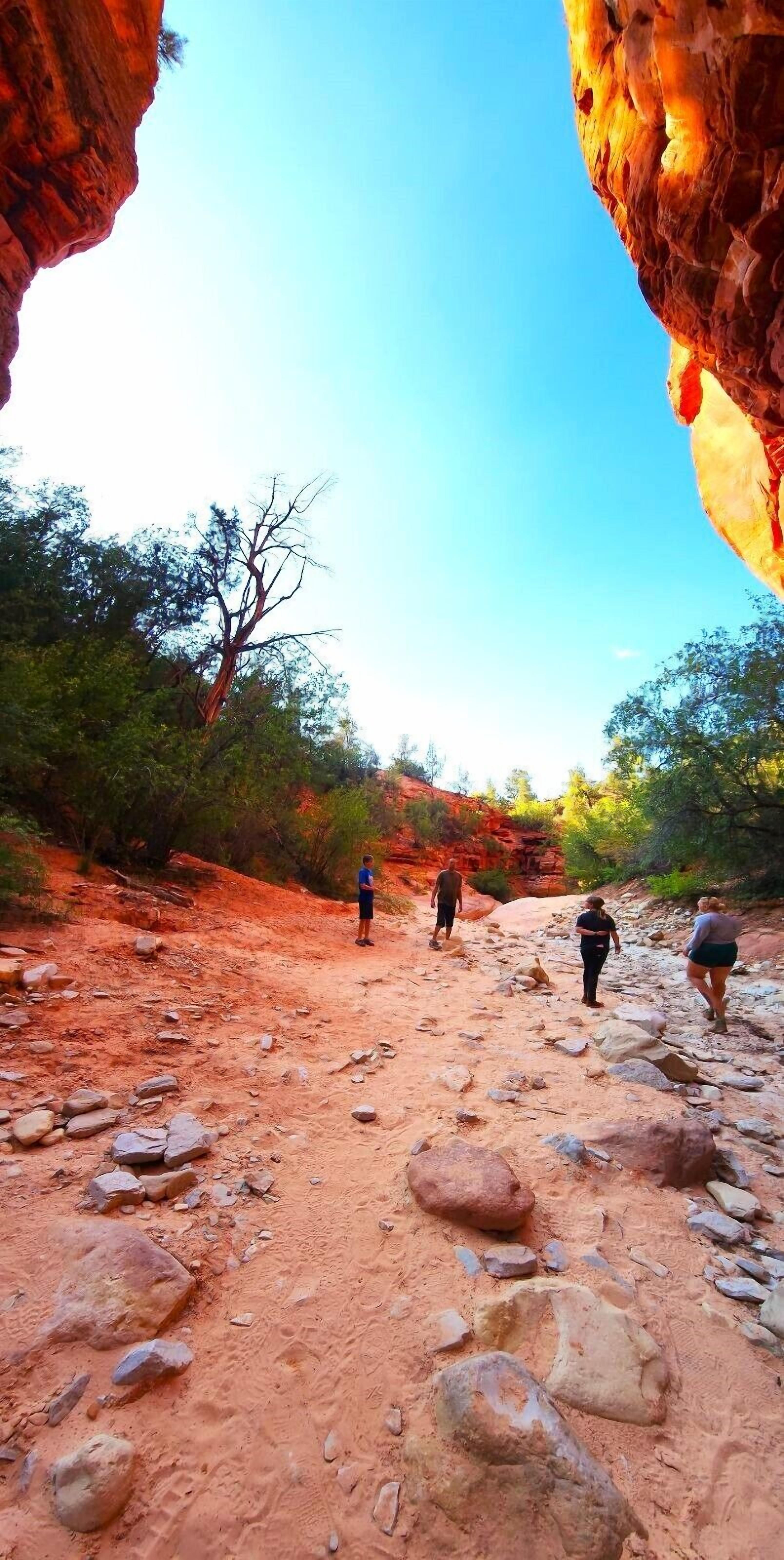 A rocky trail with people walking, surrounded by red rock formations and sparse vegetation.