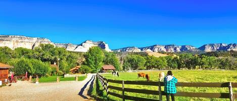 Facciata della struttura