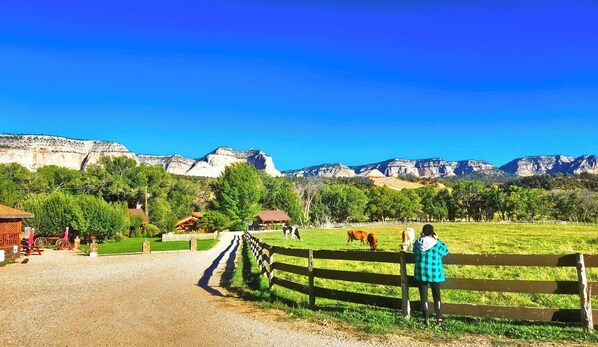 A rural landscape with a wooden fence, a person standing by the fence, and mountains in the background.