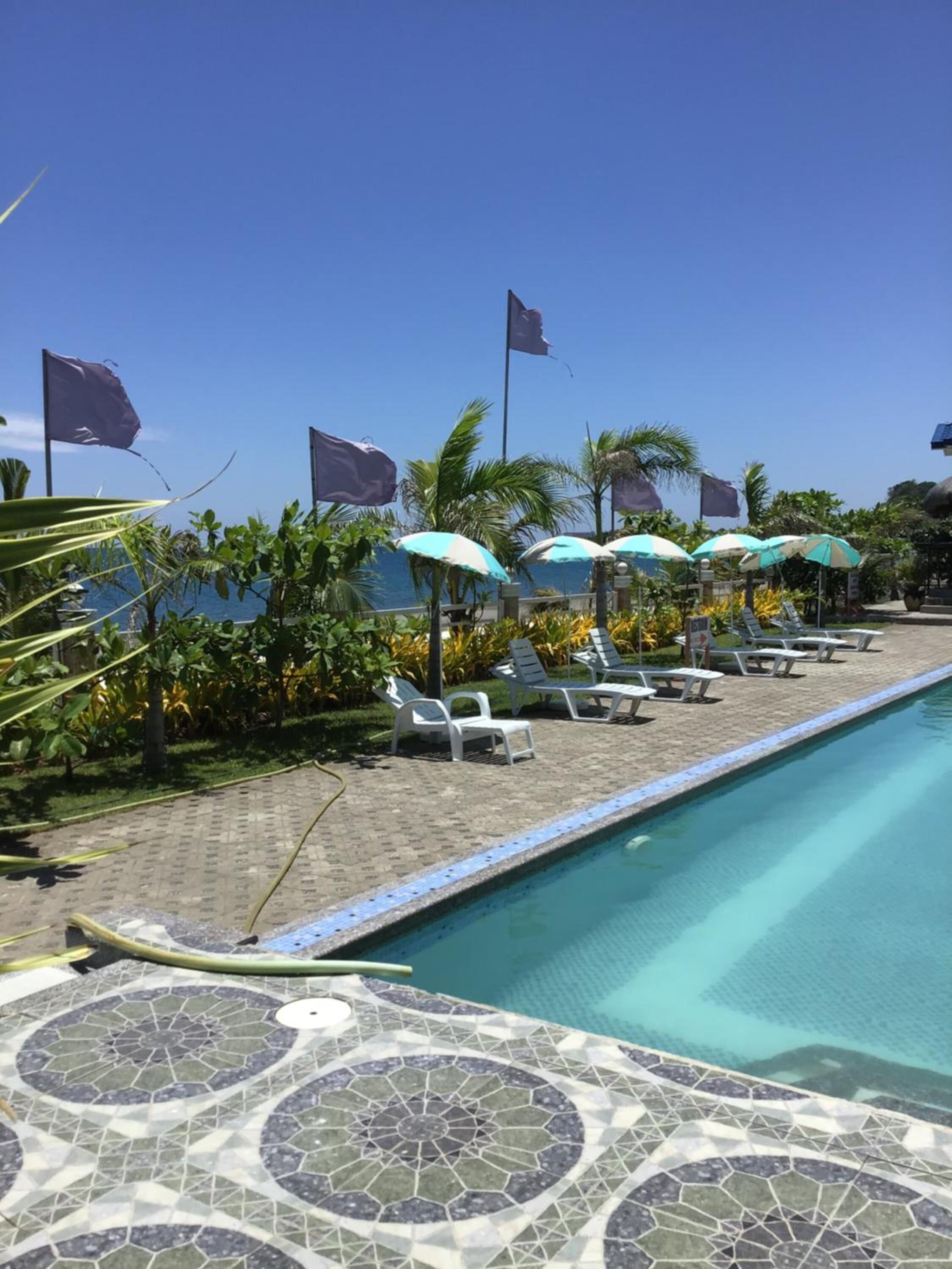 Een zwembadterras met ligbedden en parasols, omgeven door palmbomen en een heldere lucht.