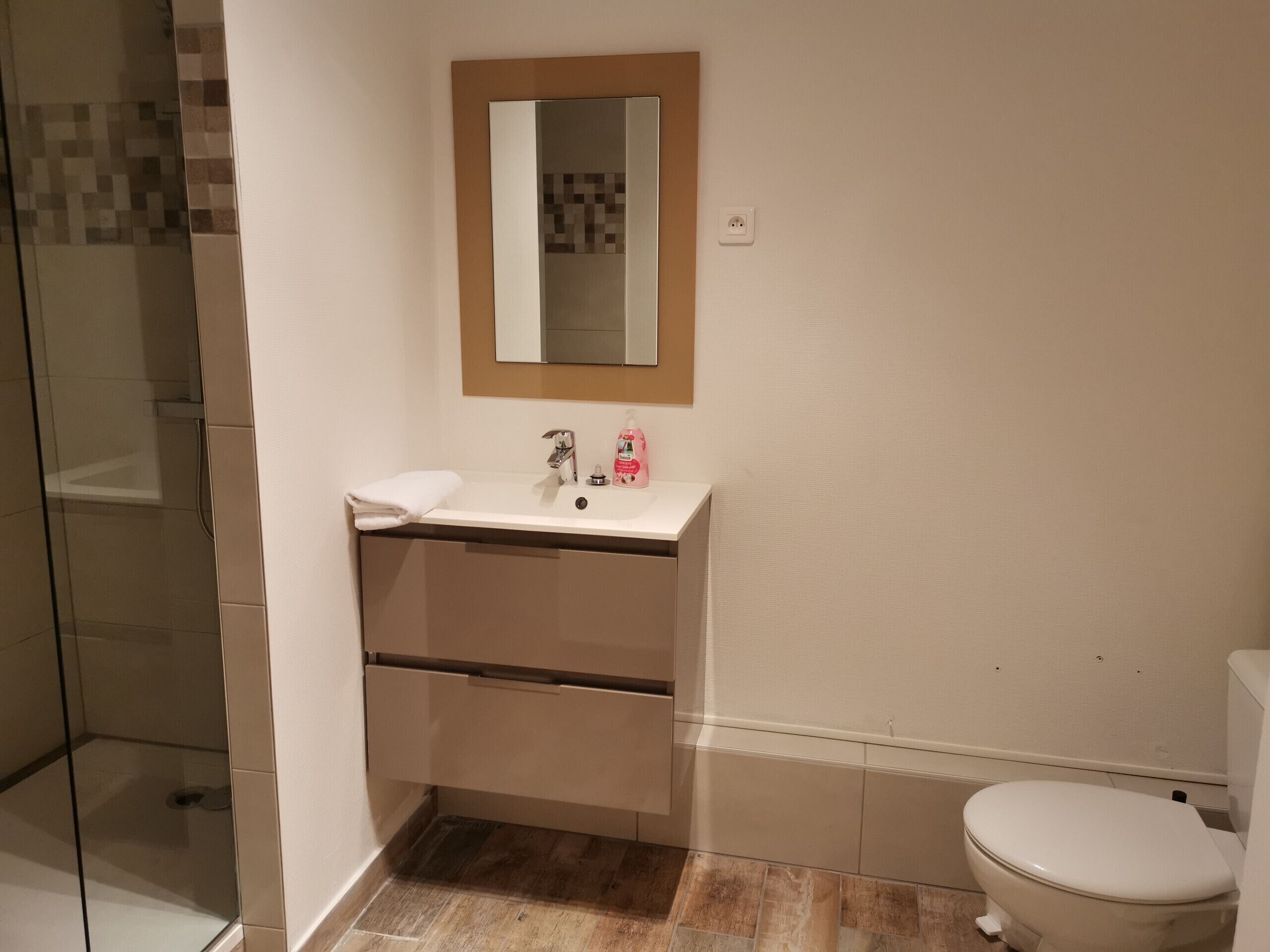Une salle de bain avec une douche à parois de verre, un lavabo avec un miroir au-dessus et des toilettes.