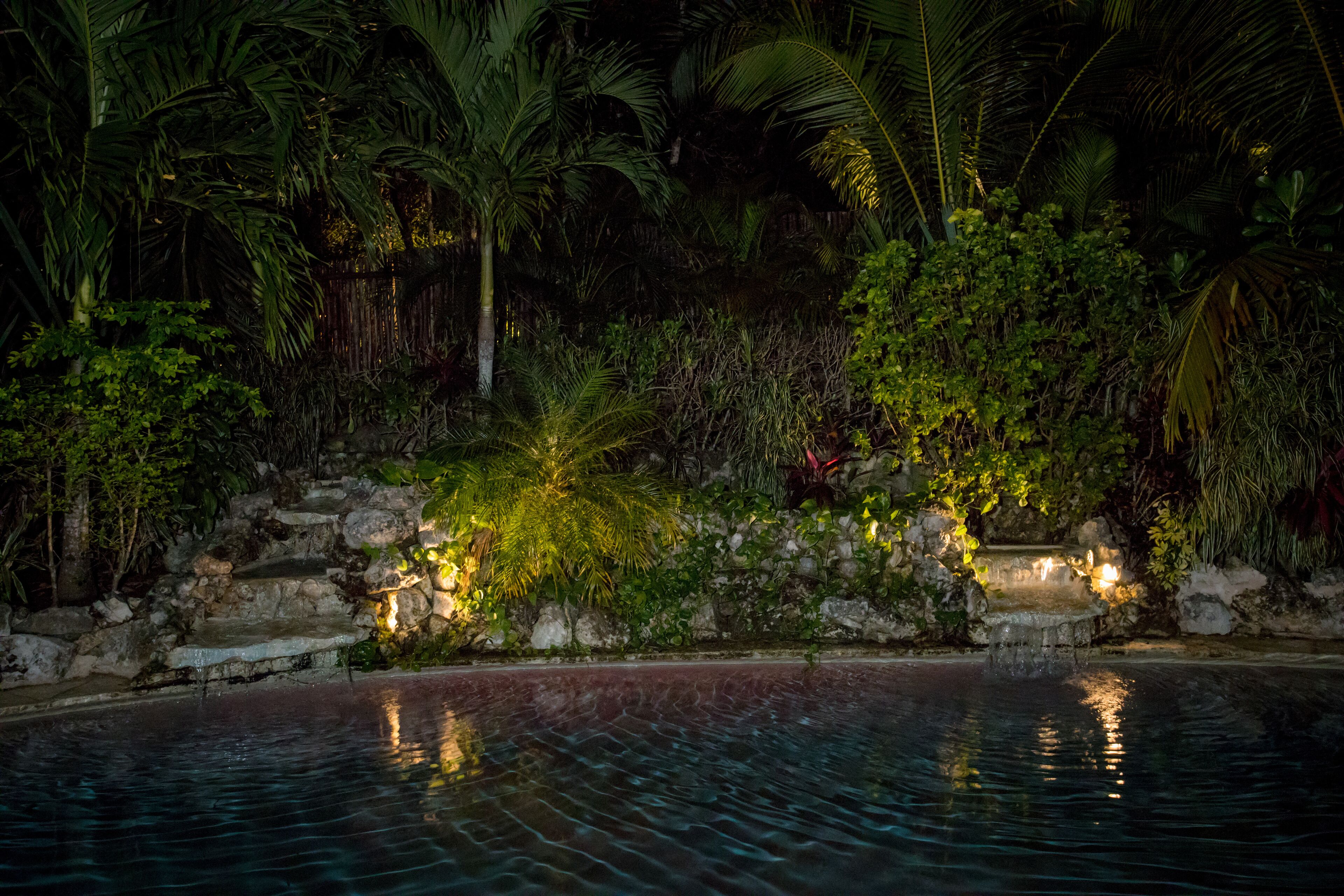 A nighttime pool area with a stone wall and tropical plants.
