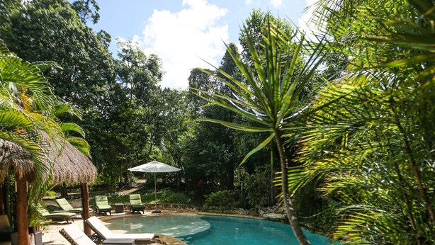 A pool surrounded by lush greenery, wooden lounge chairs, and a thatched roof structure. - Aldea JOYAH (Tulum)