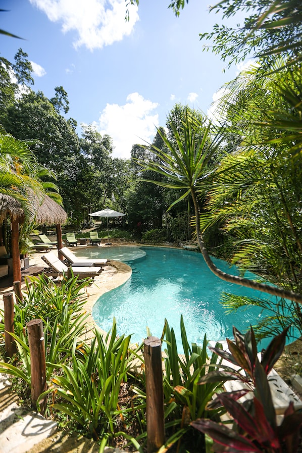 Piscine extérieure, chaises longues