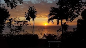 A sunset view with palm trees and a body of water. - Wilton House (Bluefields)
