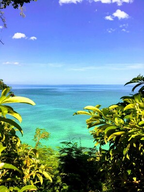 A tropical landscape with a clear view of the ocean, surrounded by lush greenery. - Wilton House (Bluefields)