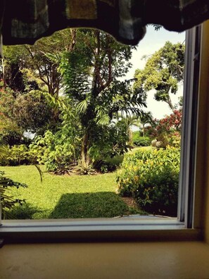 Vista al jardín