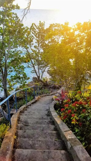 A staircase leading to a beach with a railing on one side and trees on the other. - Wilton House (Bluefields)