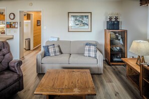 TV, fireplace, DVD player