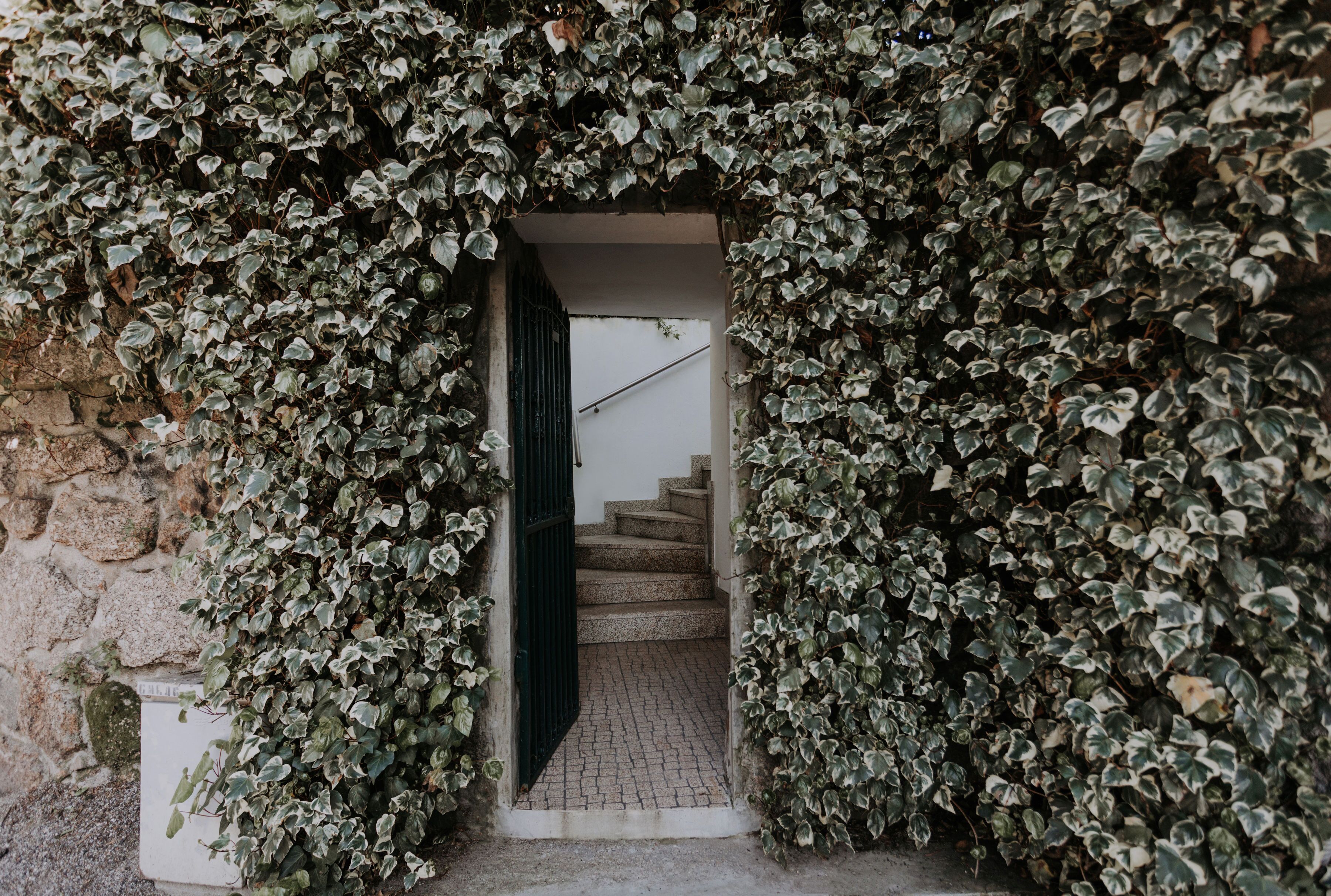 تفاصيل الفندق من الخارج