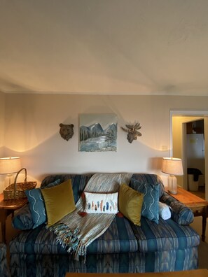 TV, fireplace, DVD player