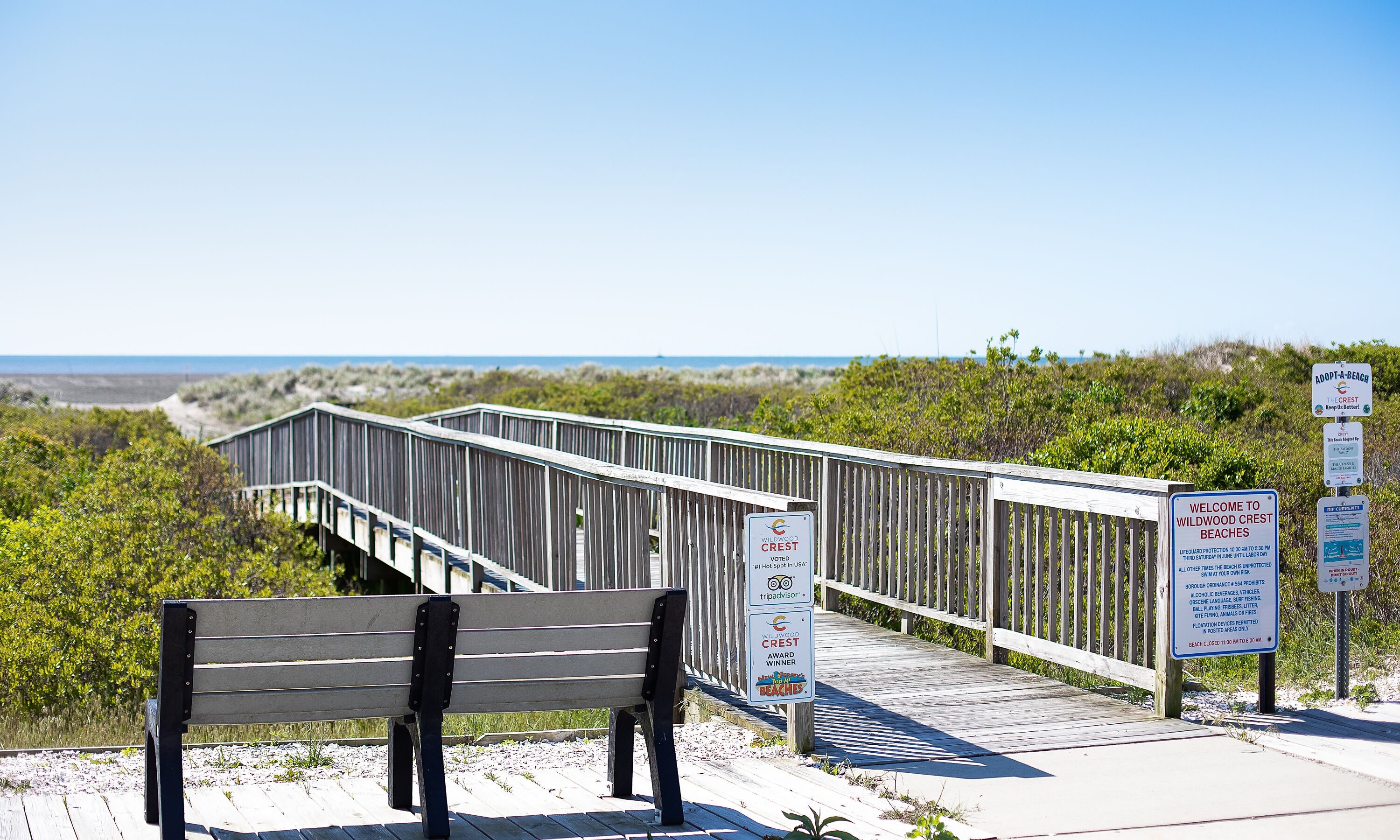 on the beach, white sand