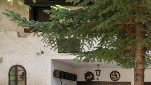 A courtyard with a stone pathway, a wooden fence, and a small Christmas tree.