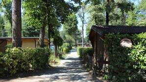 Property grounds - Villaggio Turistico Sol&Verde (Gornate Olona)